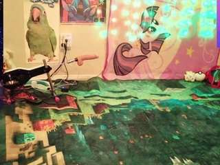 babyzelda live webcam show