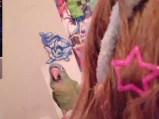 babyzelda