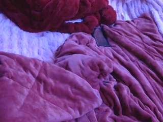 donsterak Live Webcam on {site_name}