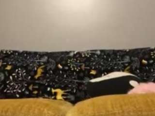 cookiescreamyxo