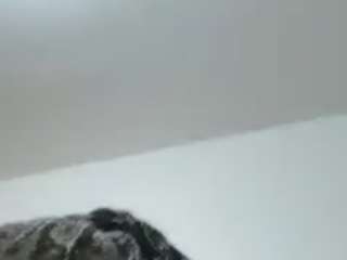 cassandraray's live room