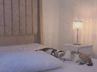 ginaakemi's live room