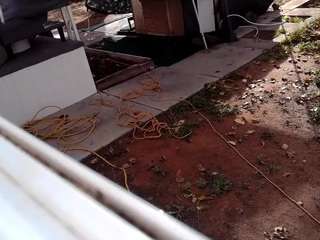 damagedacousticslast943