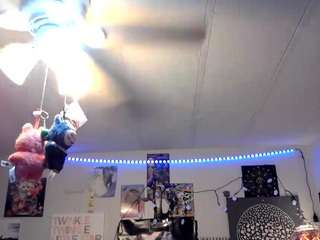 Kinquin the kitty man