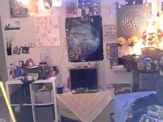 Kinquin the kitty man