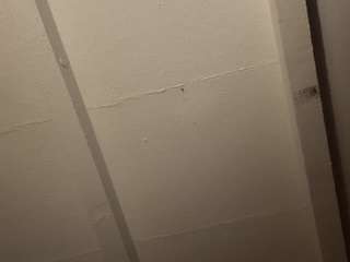 mrdllongcrippler