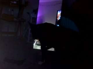 mrdllongcrippler