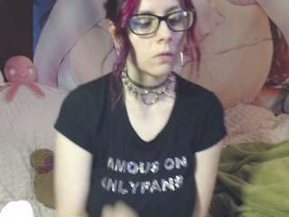 pandora-allsorts webcam