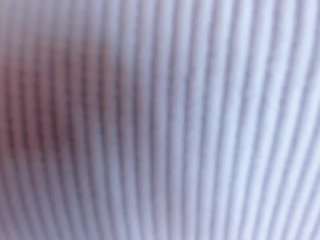 Polly Babe live webcam show