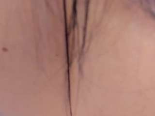 gipsytreen
