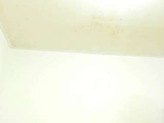 alishagoddes