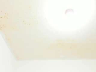 ALISHA IN WHORELAND live cam