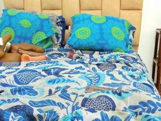 ALISHA IN WHORELAND