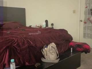 nynastax webcam