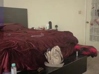 nynastax webcam