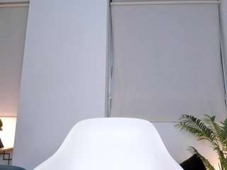 annwill webcam