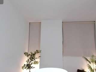 annwill webcam