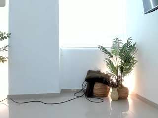 annwill webcam