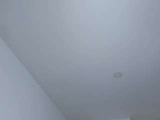 Ann