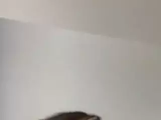 angelica-rose's Live Sex Cam Show