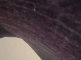 carlagee713