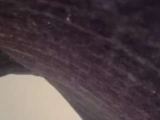 carlagee713