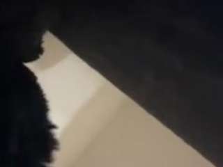 carlagee713