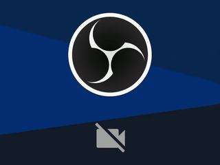 shaantall webcam model