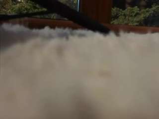 sassyt33n