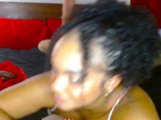 GeeTox