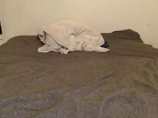 mj0886