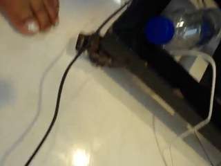 dihayara