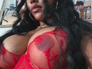 saamytits webcam