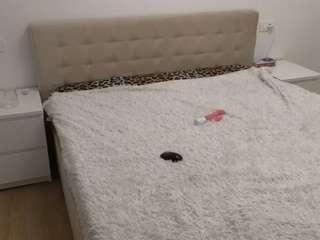 ayabellle