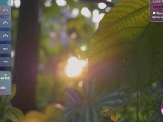 lovesense