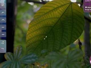 lovesense2