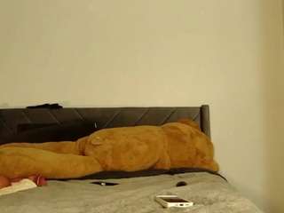 Live webcam model chaneldreamzz on Soda Cams