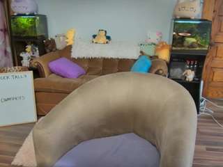 Live webcam model tinytoni on Soda Cams