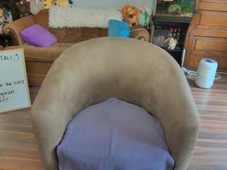 tinytoni webcam