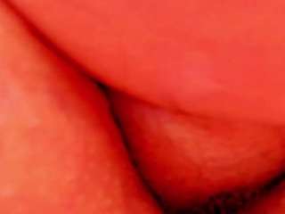 vanessasquirrt
