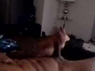 fastlifedre810 webcam model