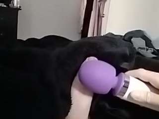 freddybobby