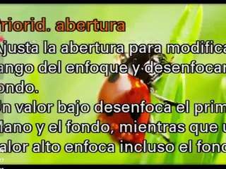 paraadisecity