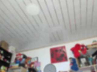 kristen_latin