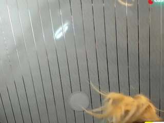 kristen1994 Live Webcam on CamSoda