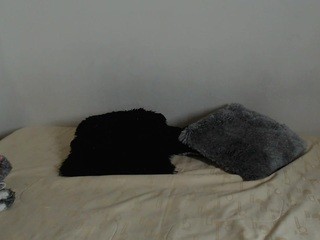 valentina-lopez (valentina-lopez) Cam Model's Videos & Recorded Shows