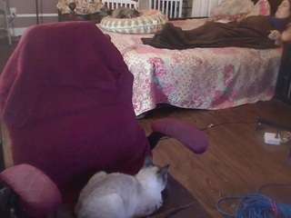 ireallysquirt live cam preview
