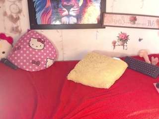 Ginna live cam preview