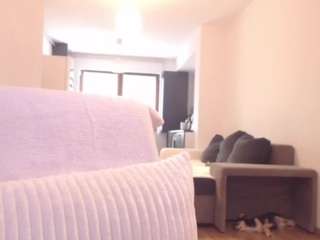  mia-stan chat room