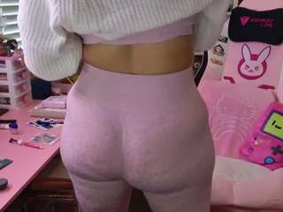hotpinkcheeto webcam